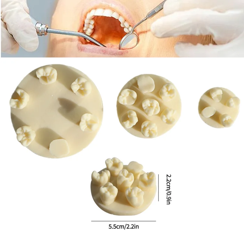 

3pcs Dental Composite Resin Filling Practice Model Dental Inlay Exercise Model Block Filling Dentistry Teaching Training Study