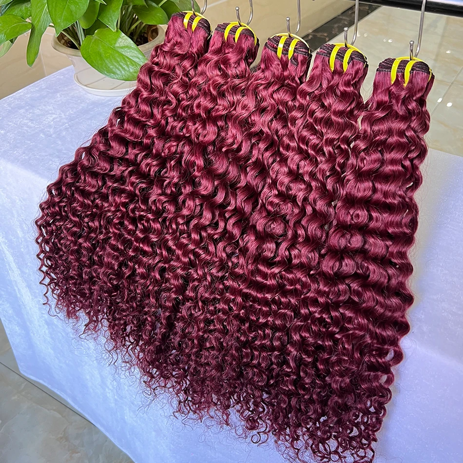 مجعد عميق # 99j بورجوندي حزم الشعر البشري الملون 100% عذراء الفيتنامية شعر مموج نسج ملحقات 100 جرام للنساء