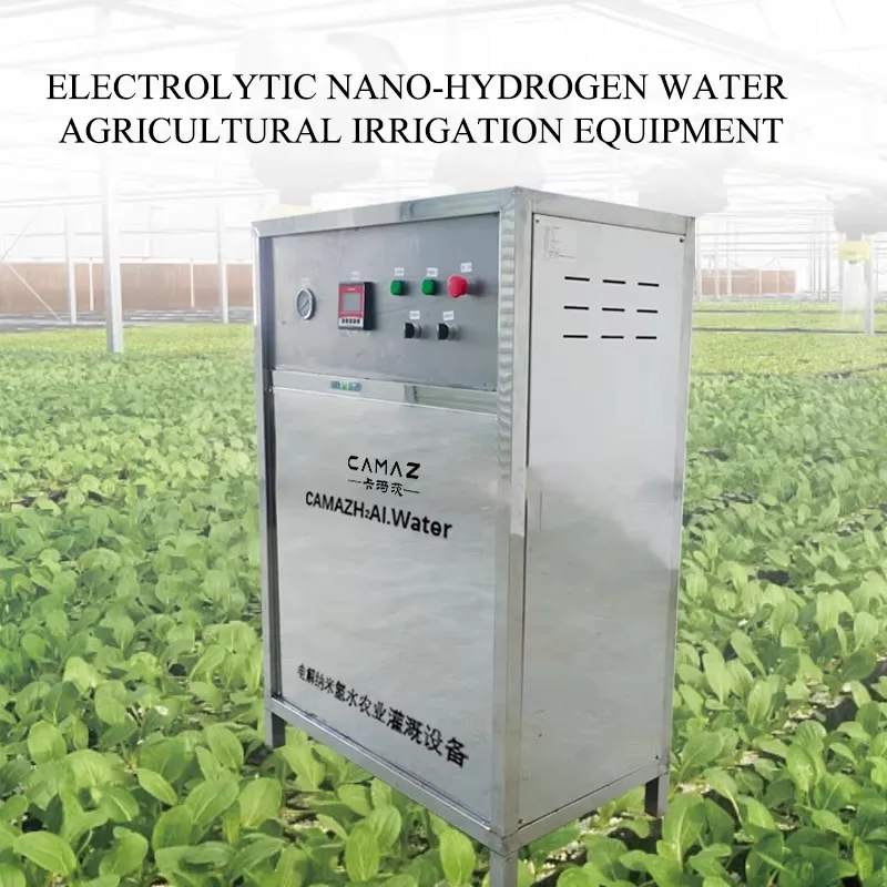 

Micro Water Nano Bubble Generator For Aquaculture Nano Bubble Water Treatment Generator Electrolytic Nano Water Machine