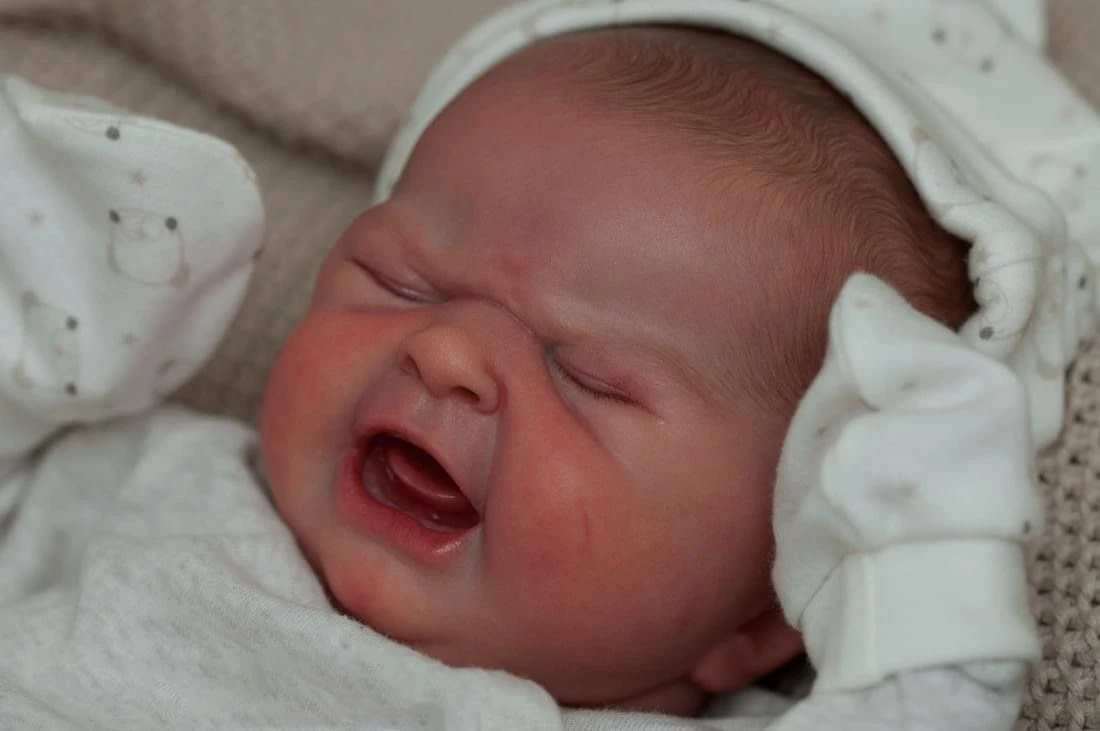 NPK 19inch Reborn Doll Maria 'Baby's First Cry' - 3D Skin Painted Hair Visible Veins Realistic Finished Doll Collectible Figure