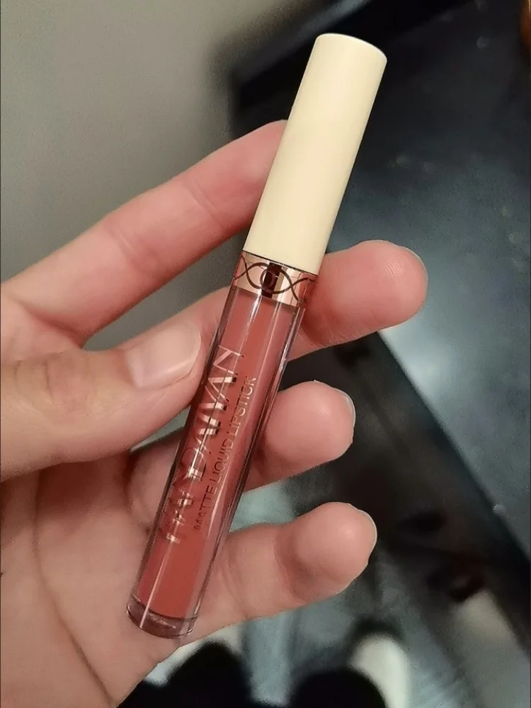 Nude Matte Liquid Lipsticks Non-stick Cup Lip Tint Makeup Matte Red Lip Gloss Cosmetics Long Lasting Lipsticks Make Up 12 Colors