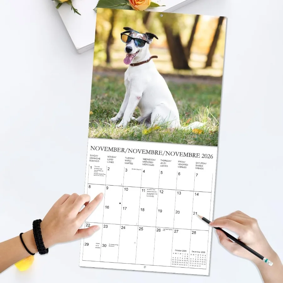 Kalender 2026 - Wandkalender van december 2025 tot december 2026 3 talen Engels Freh Spaans 2026 Kalender met vakantie M