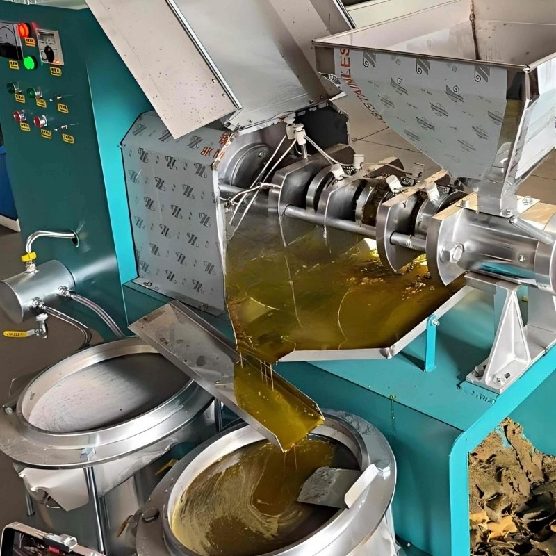 Factory 2000kg-3000kg/day Medium Oil Press Machine Peanut Soybean Sunflower Oil Extraction Machine Sesame Rapeseed Oil Extractor