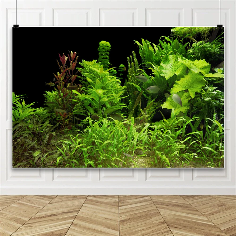수중 잔디 사진 배경 조경 어항 잠수 가능 인공 수족관 - Planted Aquarium Photos 리뷰 및 가격
