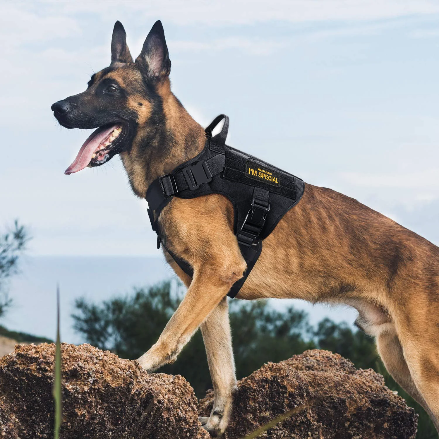 Tactical Dog Harness Military Pet German Shepherd K9 Pet Training Vest Dog Harness for Large Dogs Training, Walking, Hiking