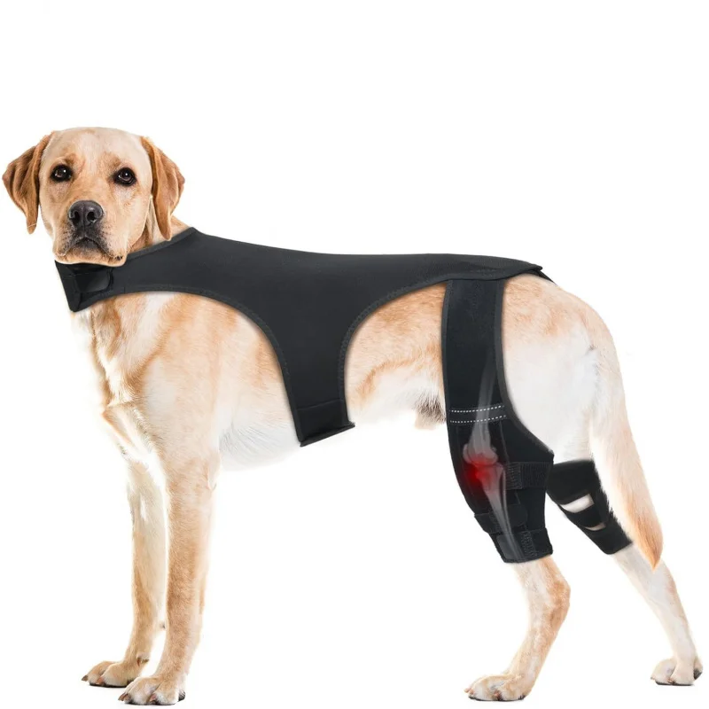 

Hot Selling Dog Hind Leg Warmers Pet Joint Protectors