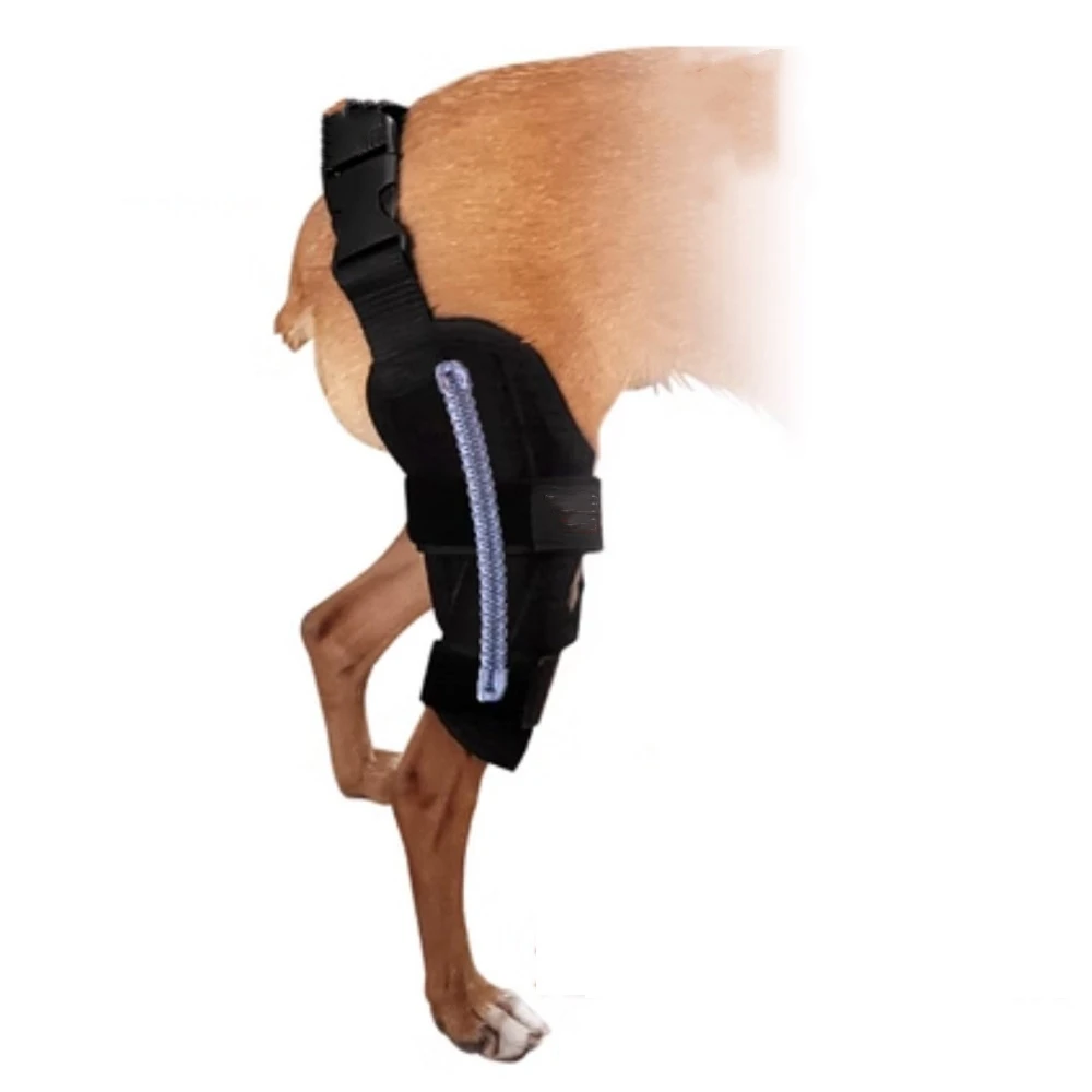 Pet Dog Injury Knee Brace Leg Cruciate Ligament Patella Dislocation Fixation Strap To Protect Stifle Fractures Inflammation Pain