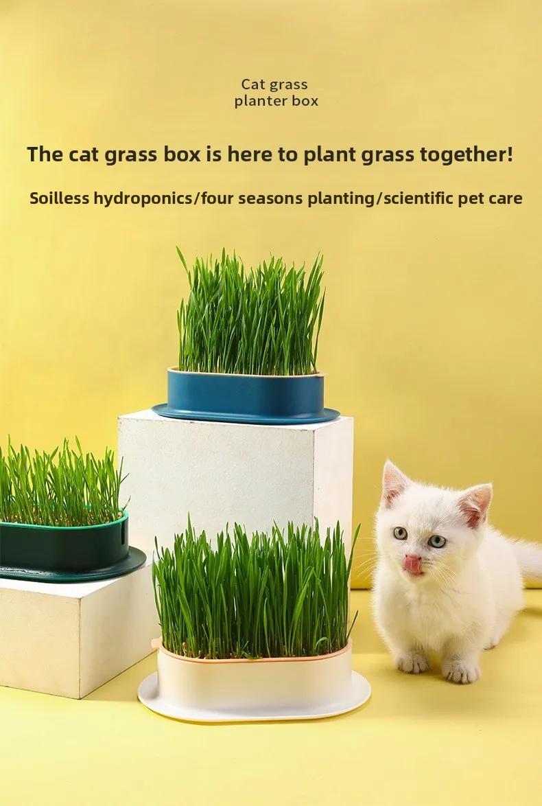 Heimtierbedarf, Katzensnacks, Katzenpflanzung, Hydrokulturbox, Katzengras, Topf, hydroponische Katzengrasbox – Detail 8