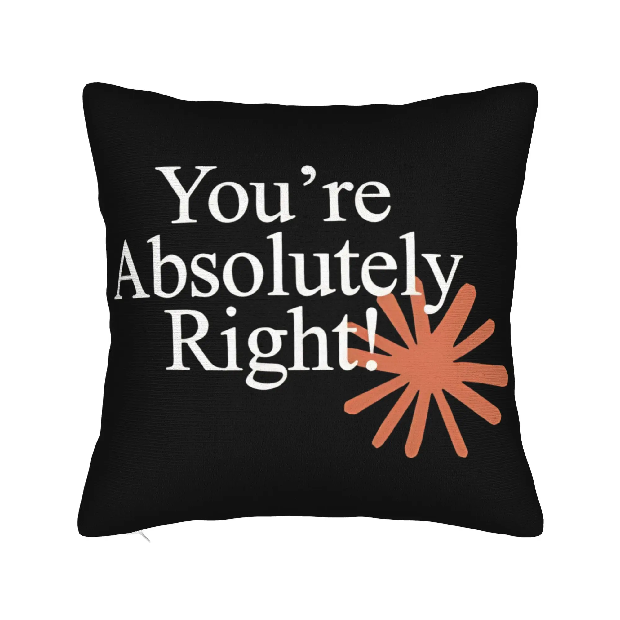 Claude You're Absolutely Right  Pillow Cover  Funny Pillow Case For Couch Sofa Bedroom Soft Pillowcases Gift
