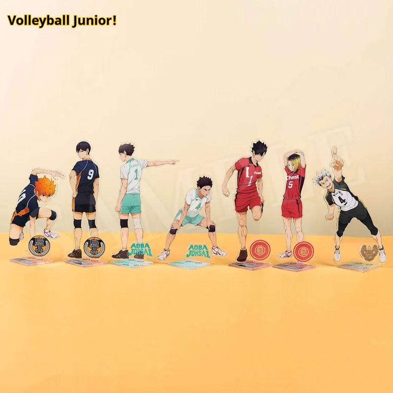 Персонаж аниме, волейбол