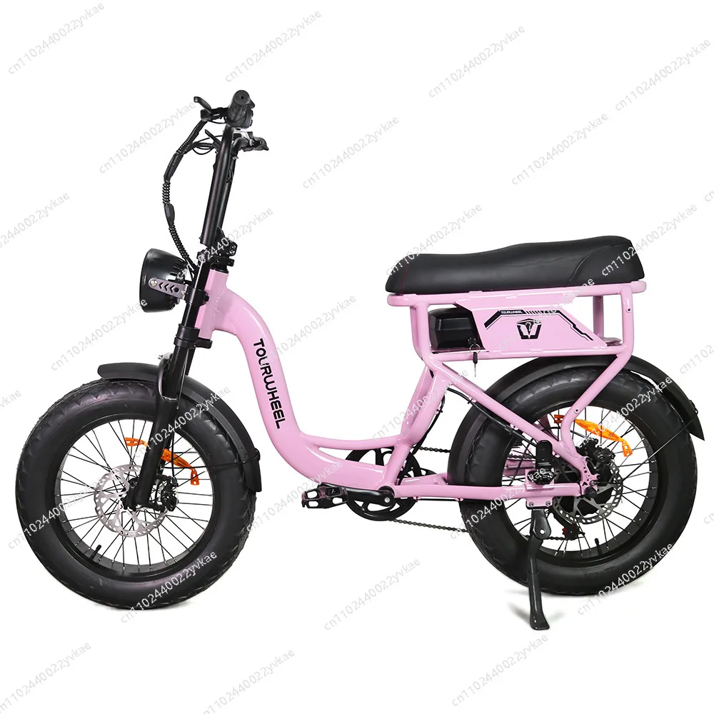 

Electric Bike Fashion Ladies Men's Beach Cruiser Vintage I Fat Ebike 250W Electric Bike