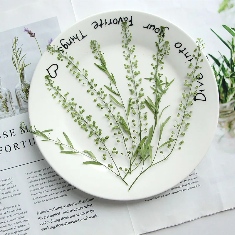 13-20CM/12PCS,Nature pressed green grass multi branches,real plant DIY bookmark drop glue phone case gift card paste face flower