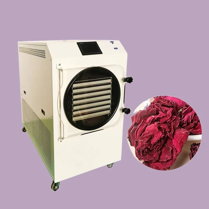 

High-Demand Commercial Freeze Dryer: Custom Capacity, PLC Control, Global After-Sales