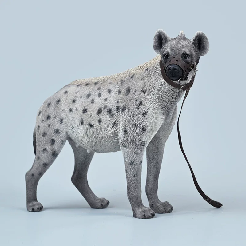 

in Stock JXK 1/6 Mini Hyaenidae Simulation Static Animal Model Trendy Cute Pet Dog Ornament Soldier Accessories Gift