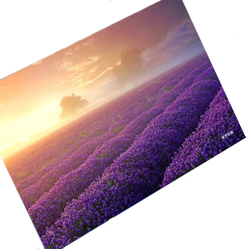 6/30pcs Beautiful City Scenery Postcard Gift Greeting Card Envelope Provence Lavender Photography Photo Postal Card Message Card