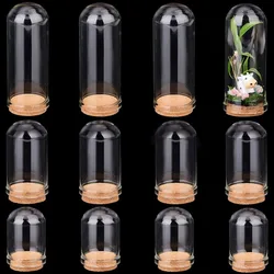 12pcs Glass Display Dome Cloche 3 Size Glass Bell Jar with Cork Base Glass Bottles Dome Decorative Jars Display Case for Flower