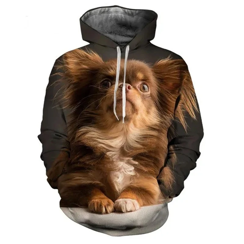 Autumn Animal Dog Chihuahua 3D Print Hoodies Men Women Fashion Casual Sweatshirts Oversized Hoodie Pullovers Tracksuit Clothing