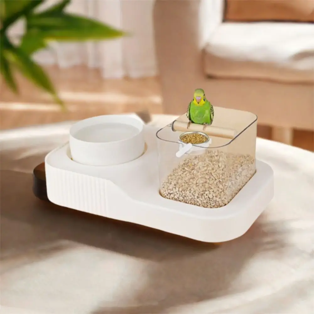 Transparent Parrot …