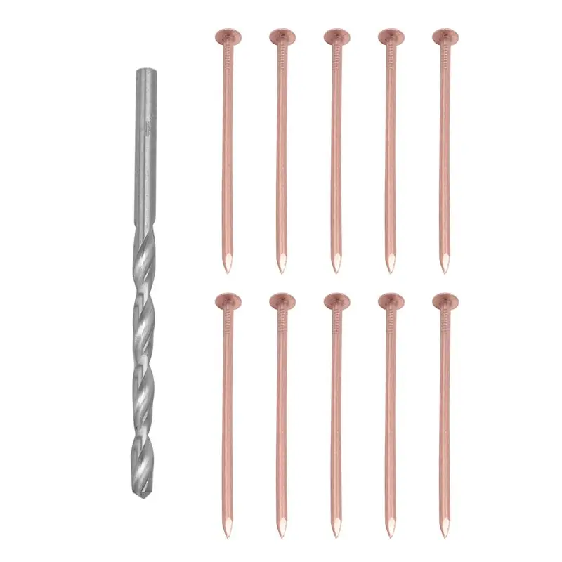 LNHF Bulk 10Pcs Copper Nails 3.15 Inch For Tree Stump Root For Killing With Drill,Stump Removal Spikes Pure