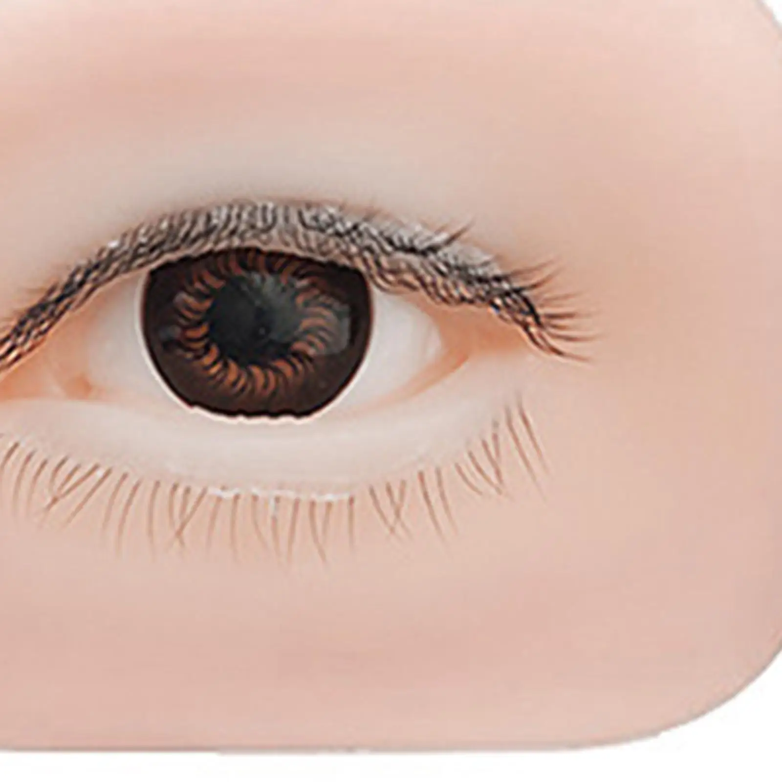 5D シリコーン製フェイクアイモデル 初心者アーティスト向け軽量アイボード