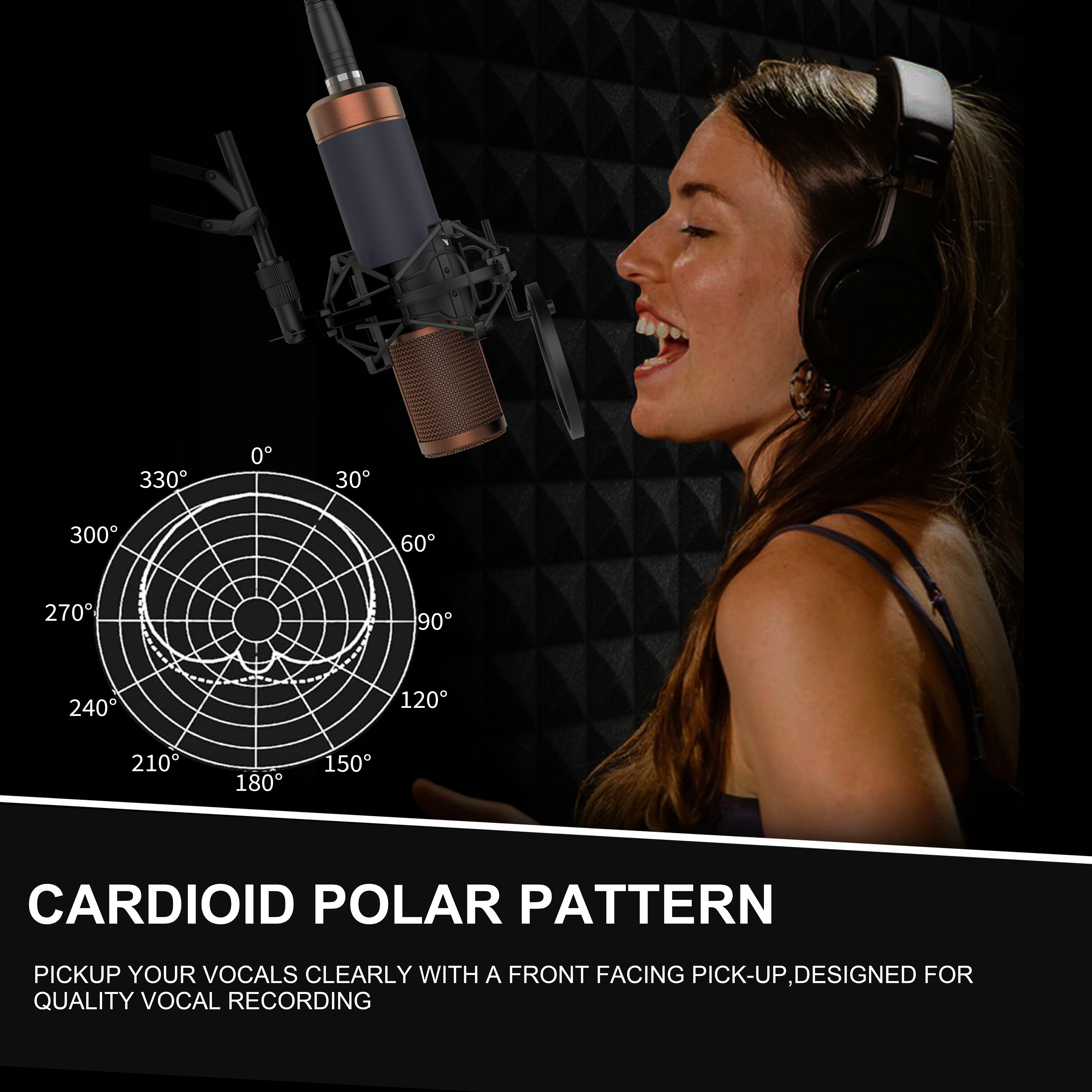 High-end TF39 48V Professional Studio Recording Condenser Microphone for Singing and Live Broadcasts with 48V Phantom Power