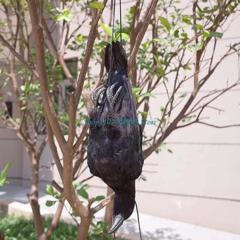 

R53F Large Black Feathered Crow Realistic Hanging Dead Crow Decoy for Crow