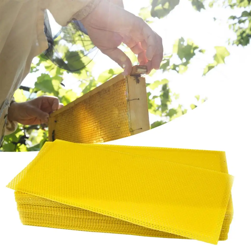 30Pcs Beeswax Sheets Beekeeping Foundation Sheets Bee Candle Making