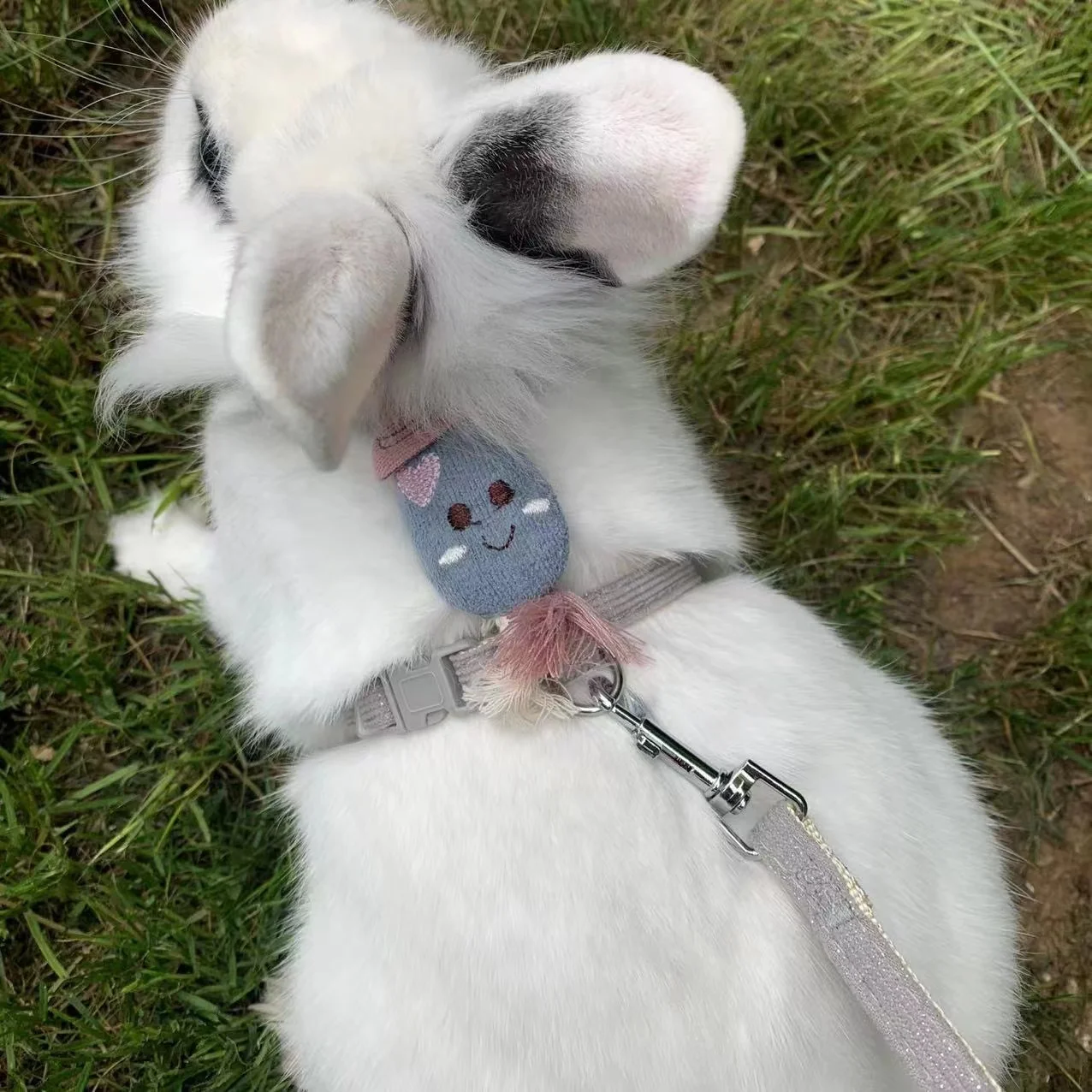 Rabbit Leash Outdoor Walking with Kitty Rabbit Cute Carrot Shape Harness Prevent Escape Adjustable Traction Rope Pet Accessories