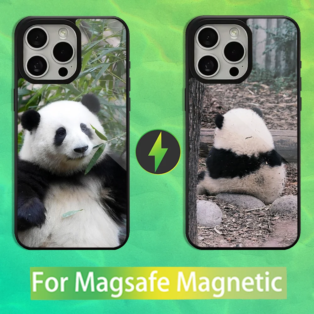 

Animal Panda Fubao Phone Case For iPhone 16,15,14,13,12,11,Pro,Max,Plus,Mini, Magsafe,Magnetic Wireless Charging Case