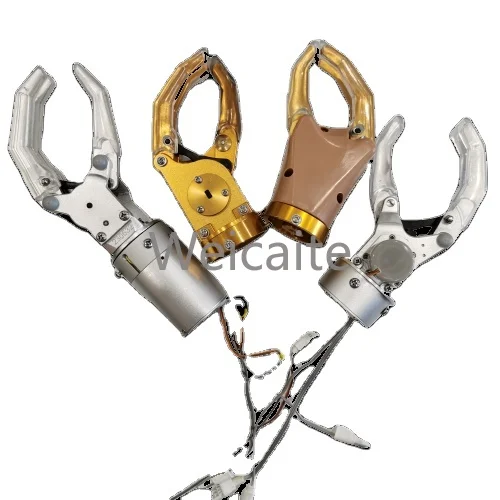 

Prosthetic Muscles Below The Elbow Joint, Hands-on Prosthetic Hand