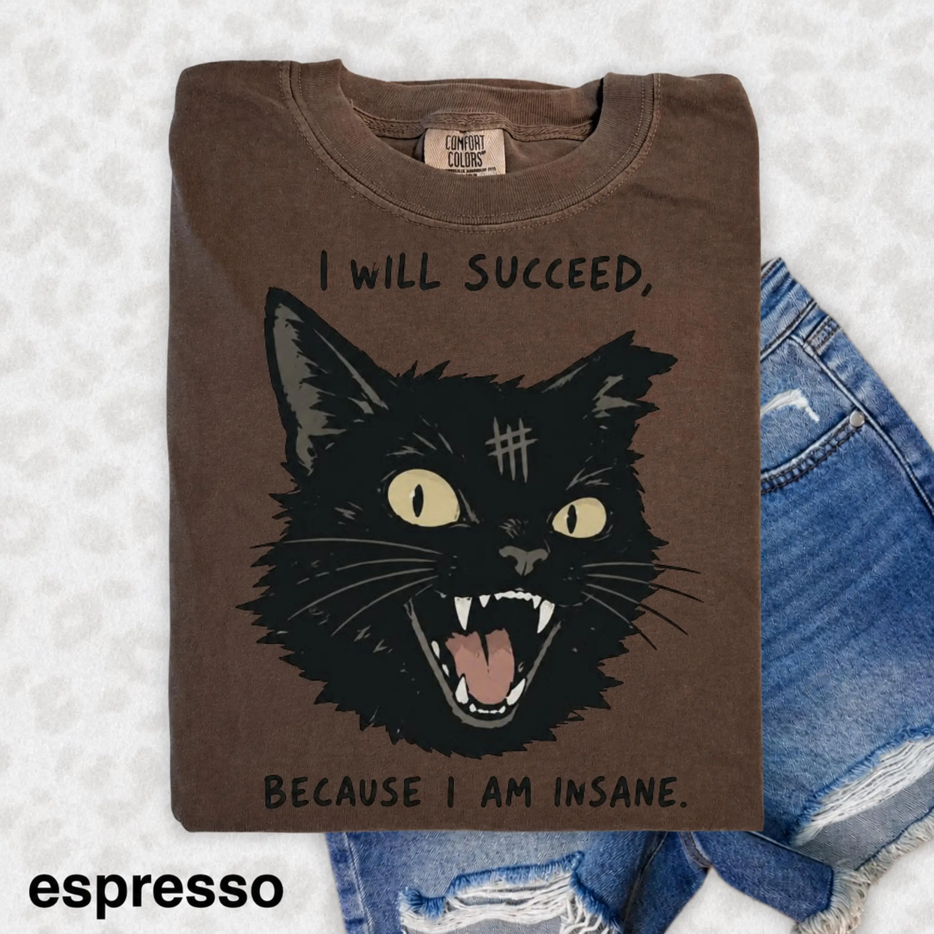 Funny Black Cat Shirt, I Will Succeed Because I Am Insane Tee, Vintage Retro Cat T-Shirt, Dark Humor Cat Gift