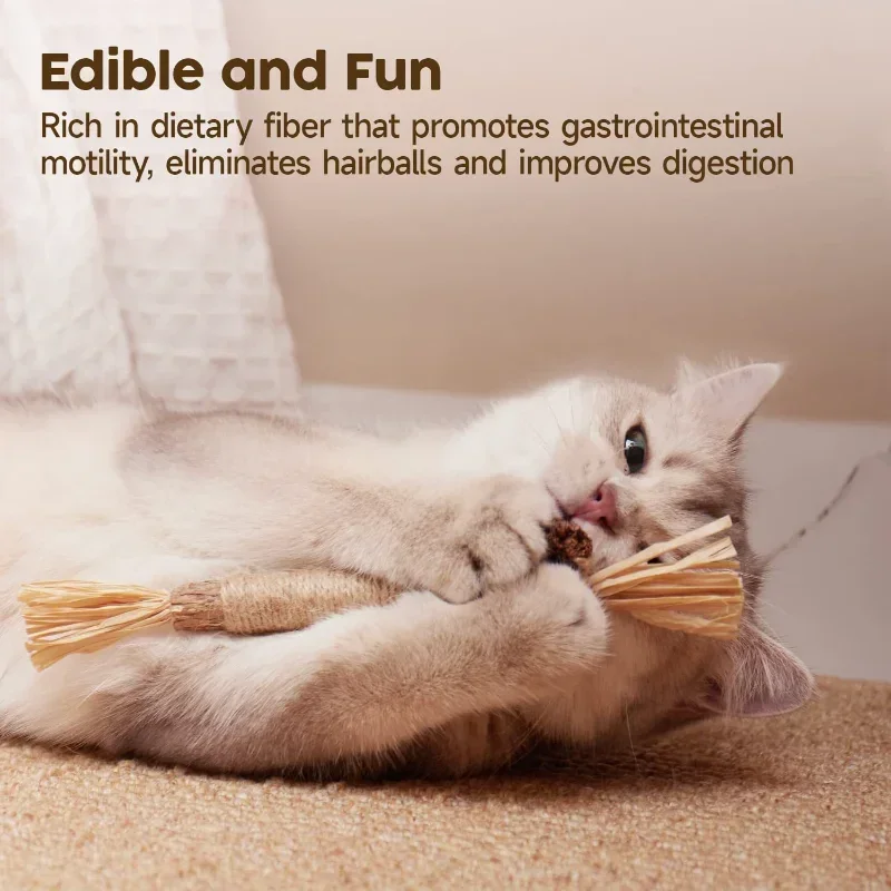 Cat Toys Silvervine Chew Stick,Kitten Treat Catnip Toy Kitty Natural Stuff with Catnip for Cleaning Teeth Indoor Dental