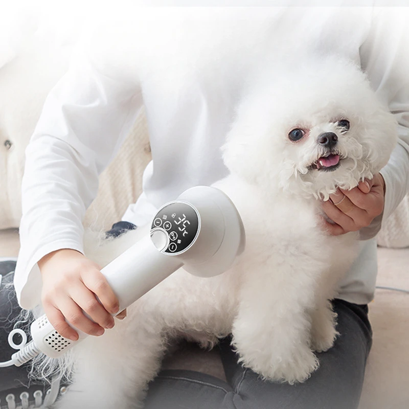 Pet intelligent hair dryer hair dryer for dog/cat beauty LED display screen IOU temperature and wind speed control pet supplies