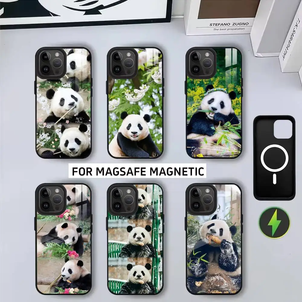 

CUTE F-Fubao P-Panda-ES Phone Case For iPhone17,16,15,14,13,12,11 Plus,Pro Magnetic with Magsafe Wireless Charging