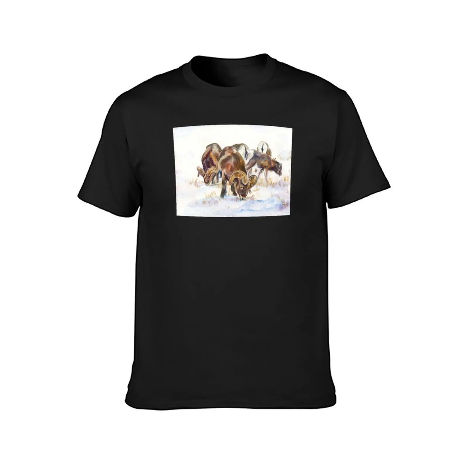 Bighorn Sheep T-Shirt boys whites for a boy t shirts for men