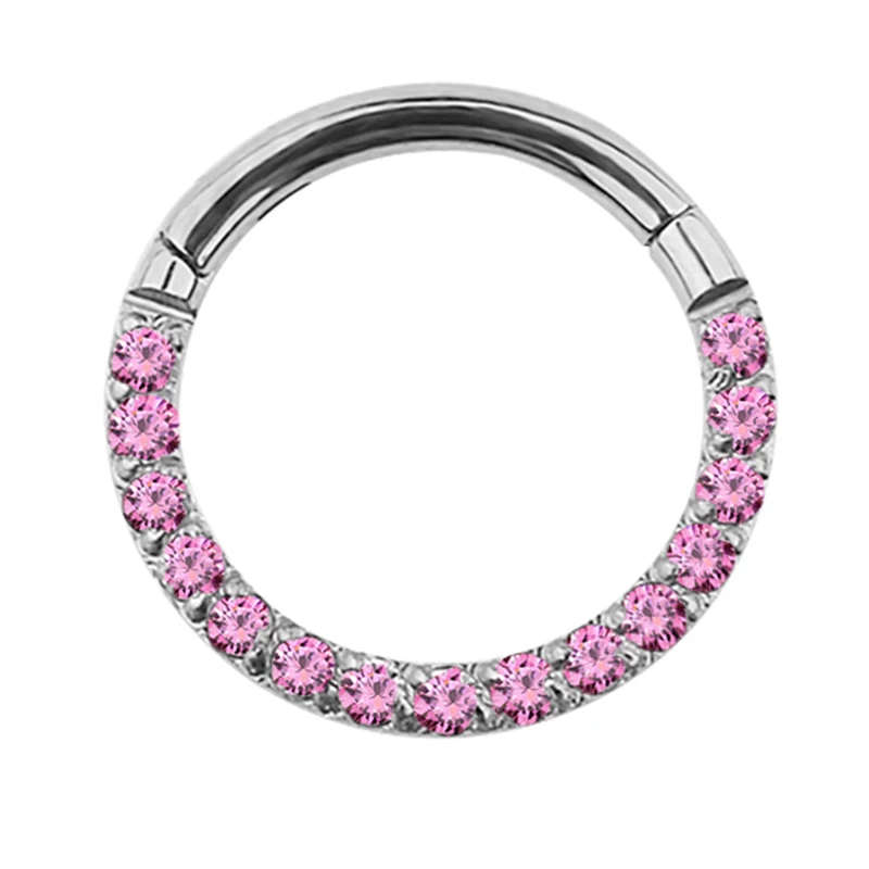 G23 Titanium Hinged Segment Hoop Nose Ring Earring