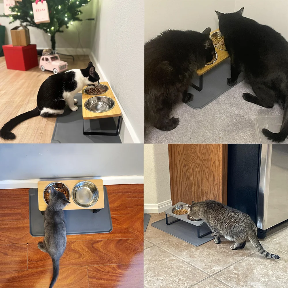 Thumbnail 4 - #7 New Stainless Steel Puppy Bowls Arrivals