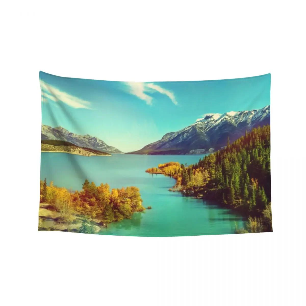 

Abraham Tapestry Decoration Wall Aesthetic Room Decor Luxury Living Room Decoration Tapestry