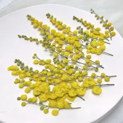 3-10cm/24pcs,Dry Flower Embossed Acacia Real Flower DIY Photo Frame Bookmark Desk Lamp Drip Glue Phone Case Christmas Decoration