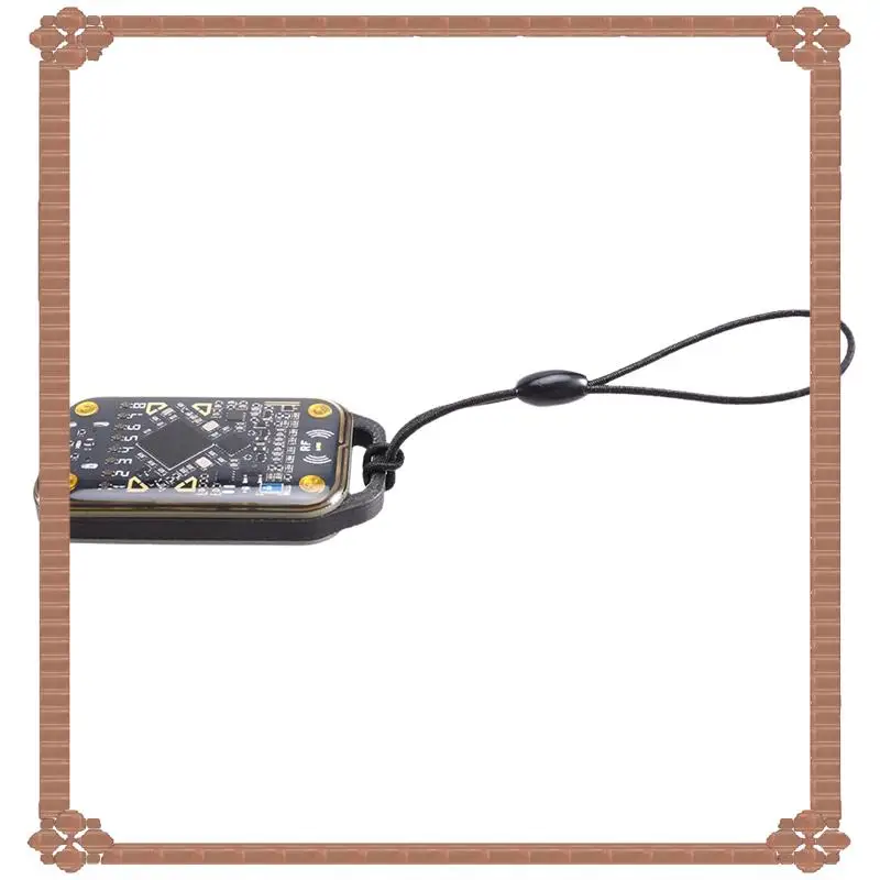 

24-Hour Delivery Chameleon Ultra RFID Smart Chip Reader Smart Card Emulator NFC Duplicator+ 3X CUID/UID Cards 125K 13.56M ID IC