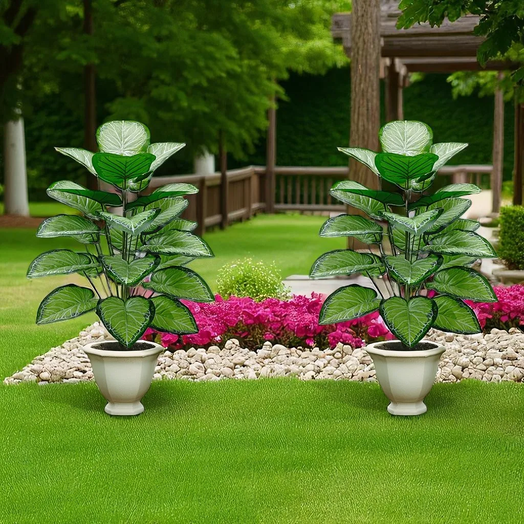 Un kiwi piante fresche verdi con 48 foglie adatte per decorazioni natalizie, portico, uffici interni/esterni senza vasi da fiori