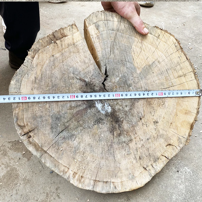 2025Лесовое оборудование Оборудование для резки деревьев Лесной резак Зажимная пила для крыльчатков деревьев