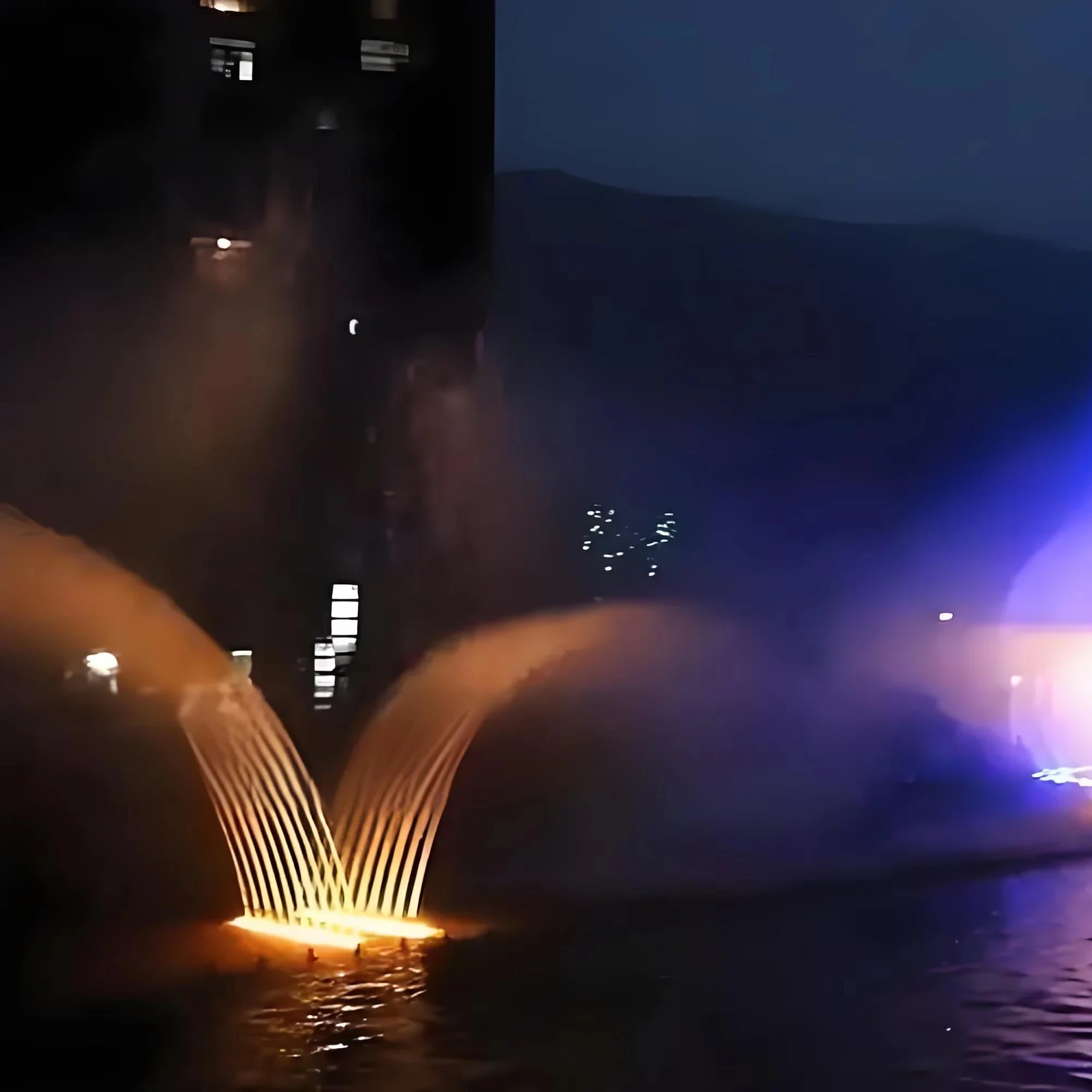 Vivid Seagull Flying Shape Music Dancing Water Fountain With Colorful LED Lights