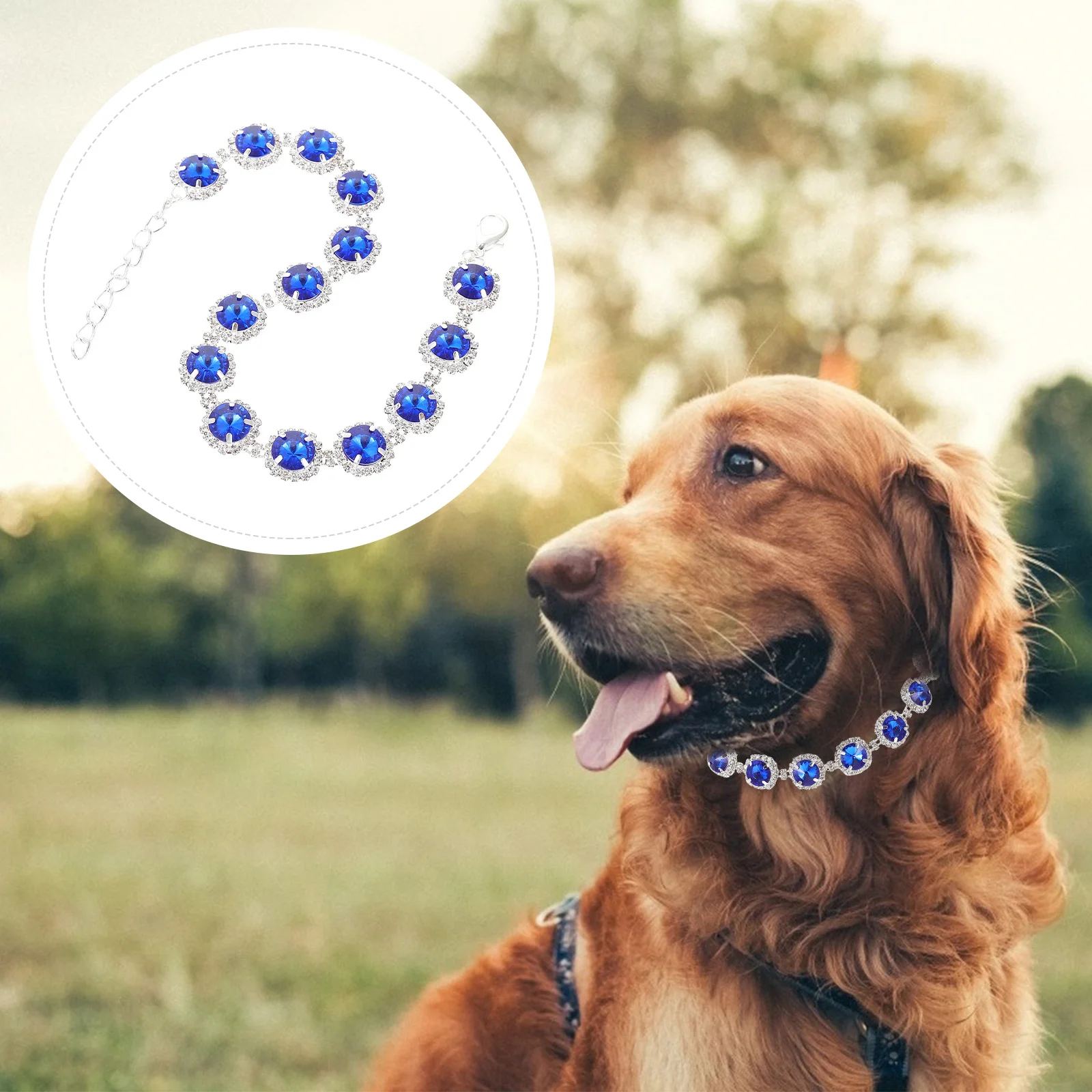 

Pet Necklace Delicate Dog Collar Decorative Small Puppy Collar Adjustable Puppy Accessory Small Pet Supply Kitten Accessory
