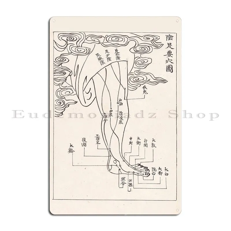 Acupuncture Points And Meridians The Foot Metal Plaque Design Plaques Wall Decor Garage Decoration Printing Tin Sign Poster