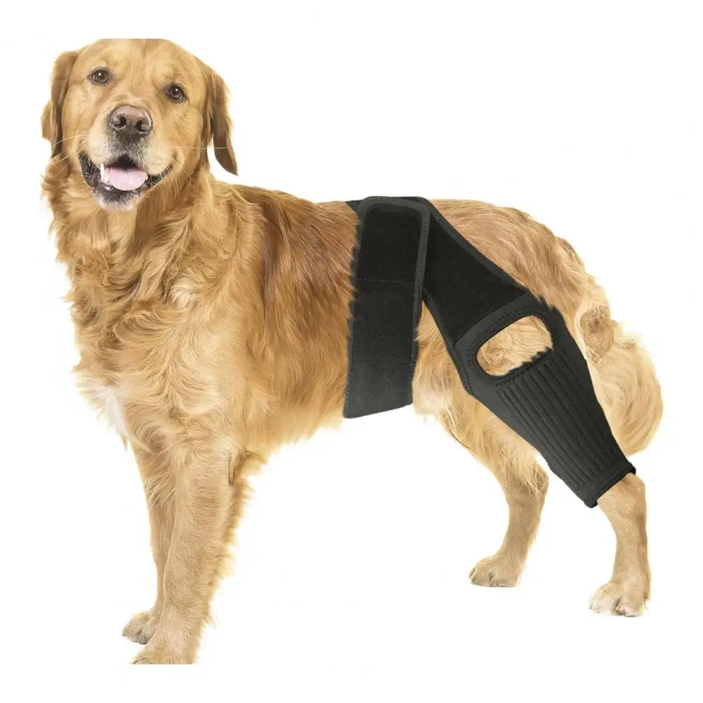 

Dog Hip Knee Leg Brace Dog ACL Brace Canine Hip Dysplasia Support Torn Tear Hip Dysplasia Arthritis Pet Knee Protector