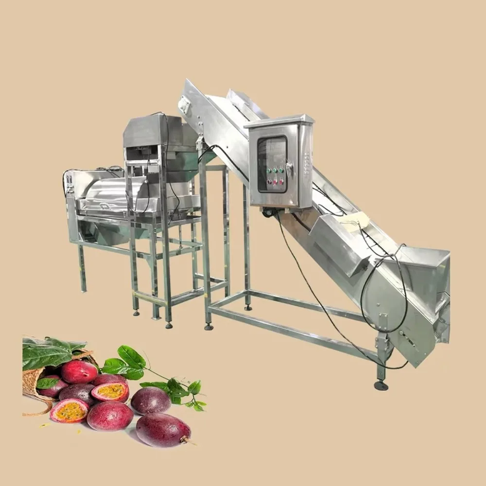 Automatic Passion Fruit Juice Production Line Commercial Fruit Cleaning Processing Equipment High Efficiency