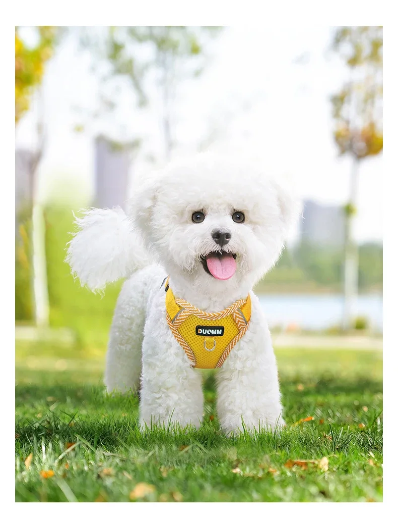 Reflective Breathable Dog Harness And Leash Set For Small Dogs_voghion.com