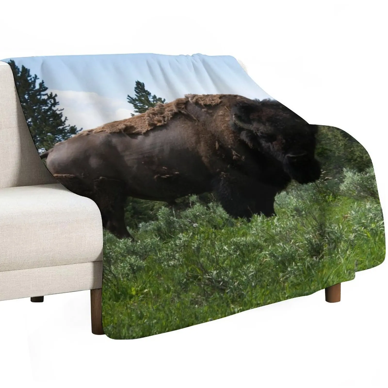 Buffalo Stare Down Throw Blanket for winter Loose Soft Plaid warm winter Bed covers Decorative Beds Blankets