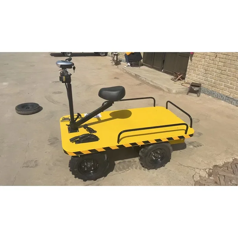 Manufacturer Different Size Commercial Platform Trolley 500Kg